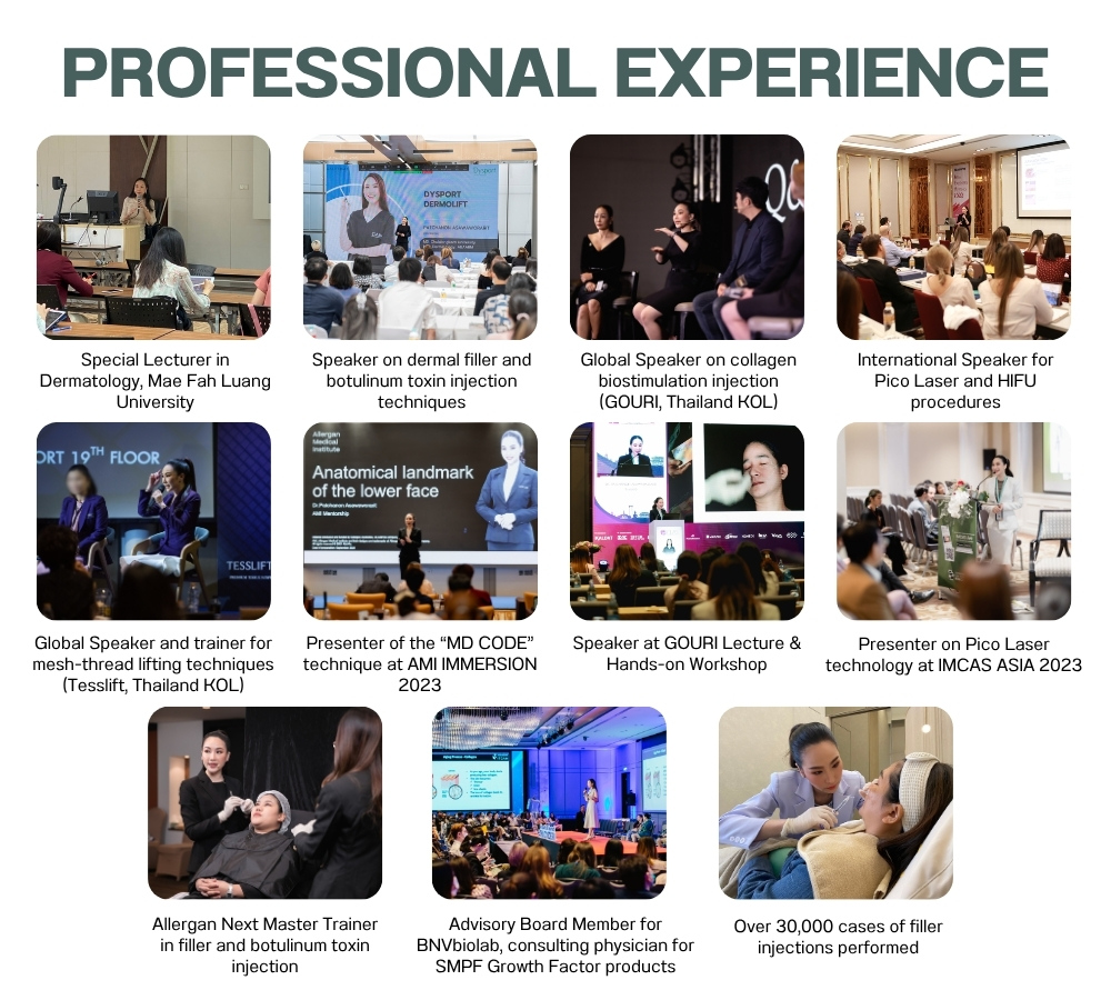 Professional Experience Dr.Kanom